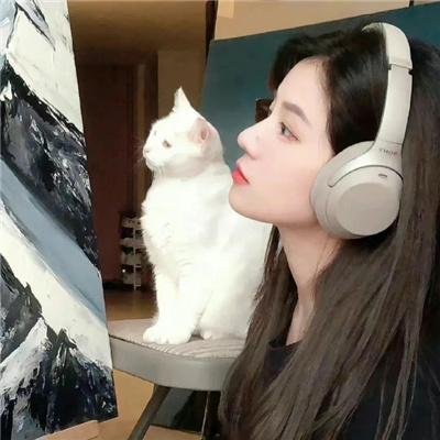 狐狸女士第二季
